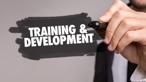 Training And Development / Conflict And Negotiation Management