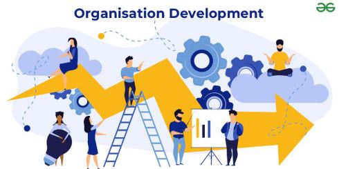 Organisational development