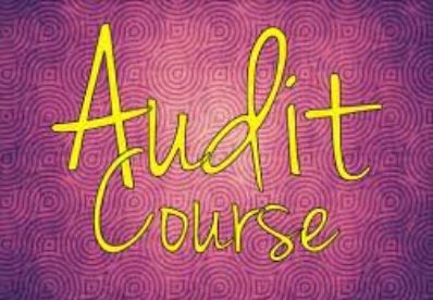 Audit Course I